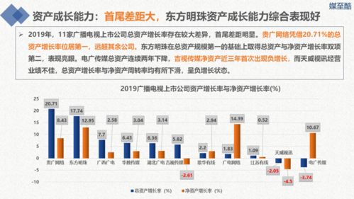 2020廣播電視上市公司年度績效數(shù)據(jù)報告