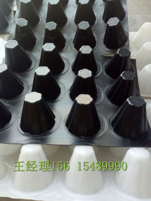 瑞金H20排水板 創鴻品質，構筑堅實防潮基石